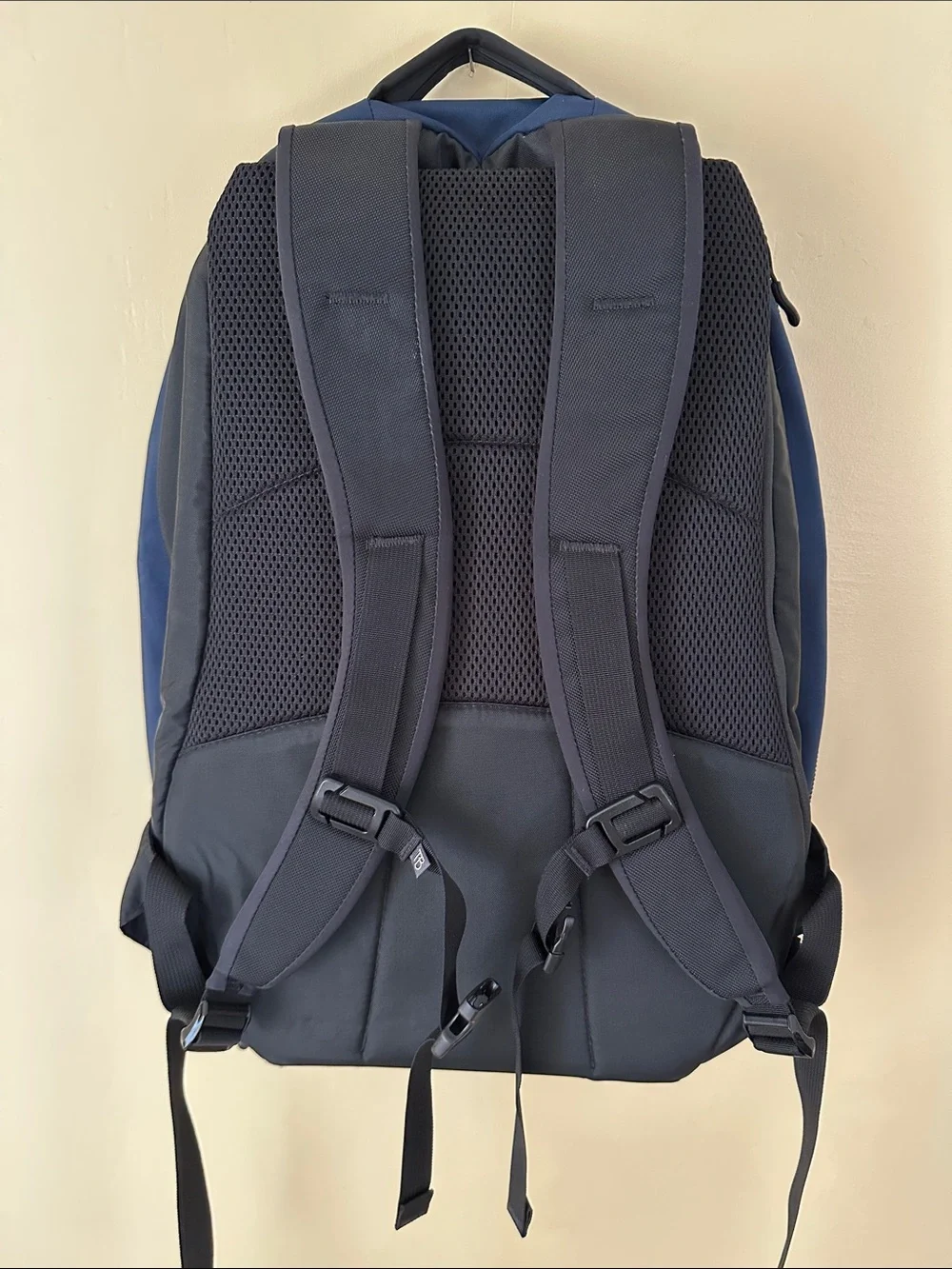 Tom Bihn Synik 30 in Navy + 2 TB packing cubes &  3D Clear Organizer in NW Sky